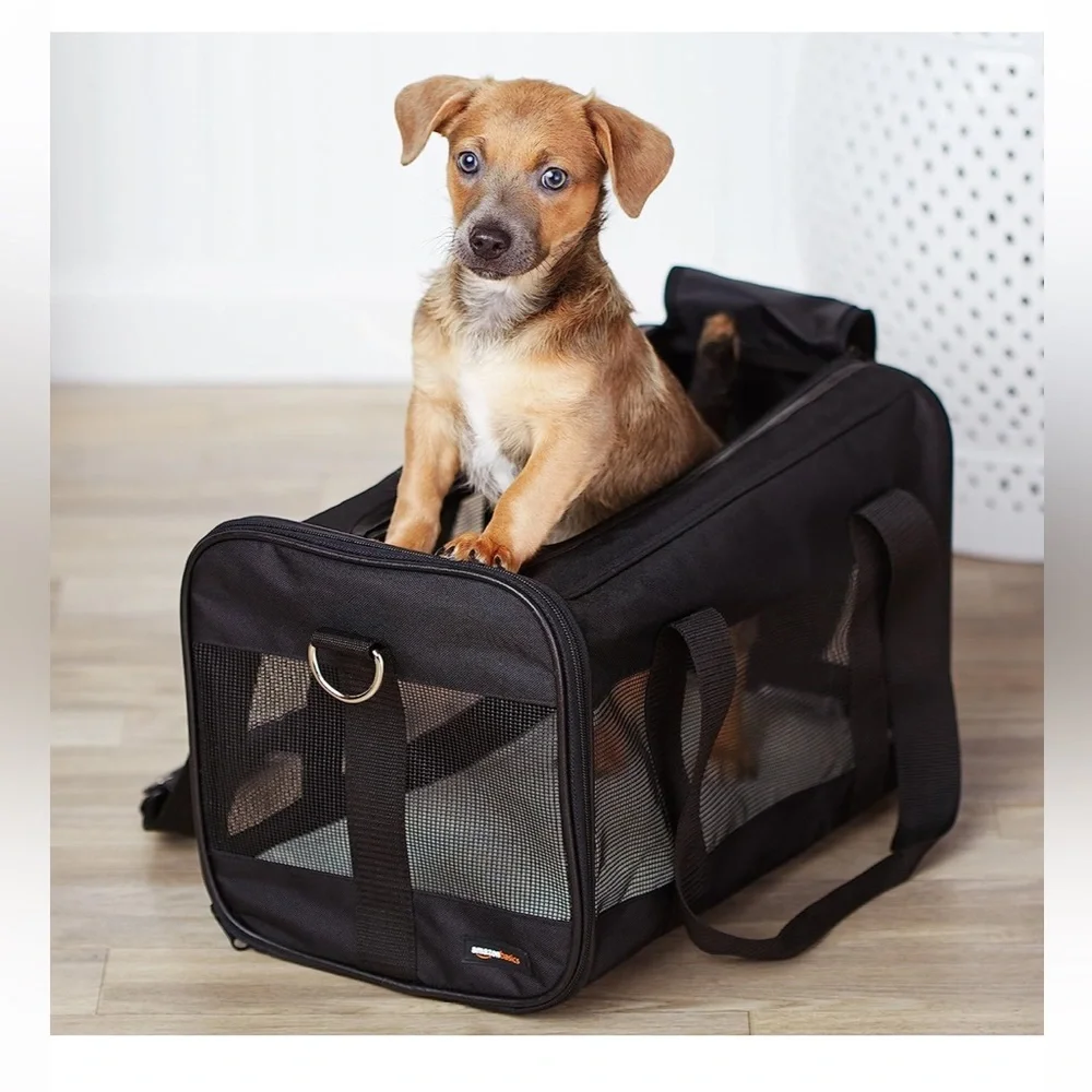 Amazon Basics Soft-Sided Mesh Pet Travel Carrier, Medium, 17 x 10 x 10 Inches